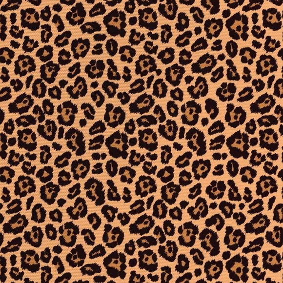 Meet the Posher - Picture 1 of 1